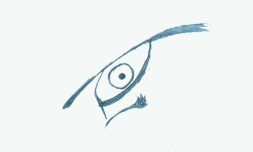 minDGate.org Auge, 200x